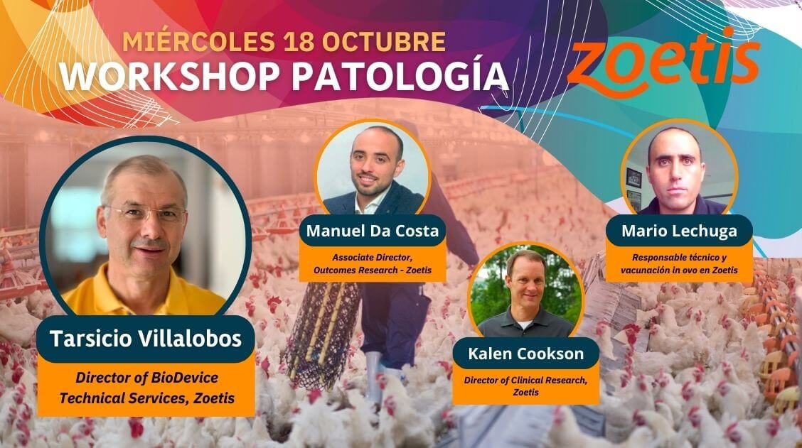 workshop patologia