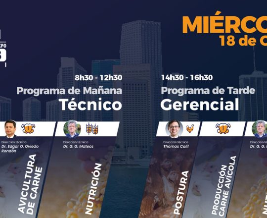 programa-tecnico-miercoles-lpn