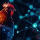 The Internet of Things (IoT) and its impact on the poultry sector: a technological revolution
