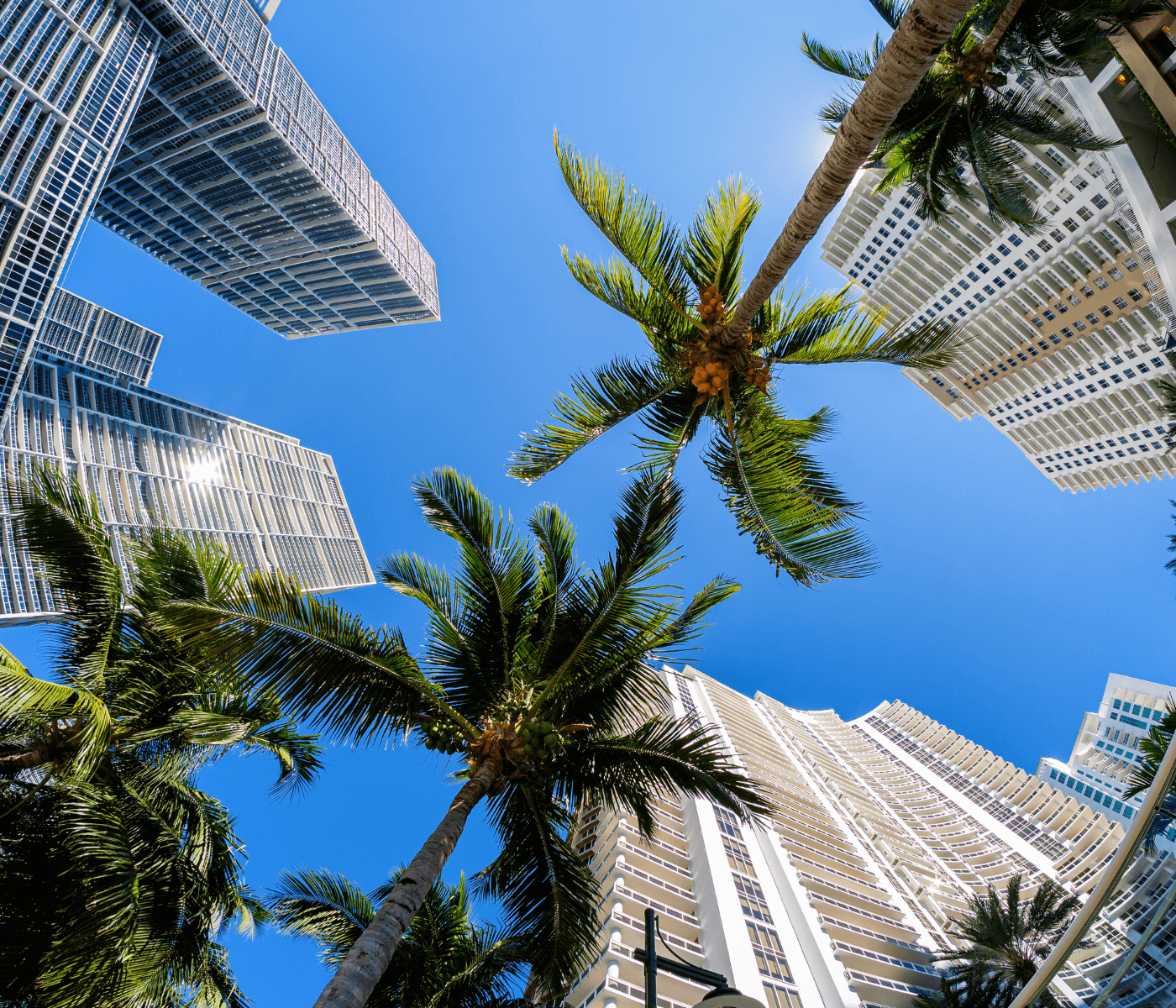 miami tour