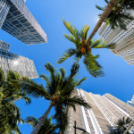 Descubre Miami como nunca: el Tour Exclusivo para Acompañantes del LPN Congress & Expo 2025