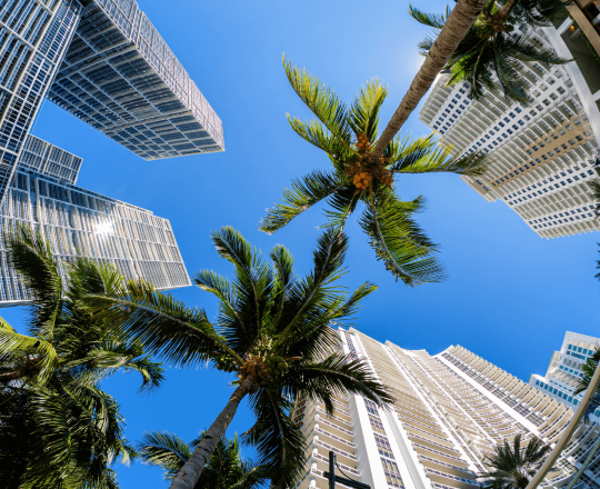 miami tour