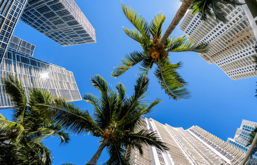 miami tour