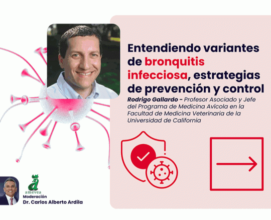 workshop-patologia2025