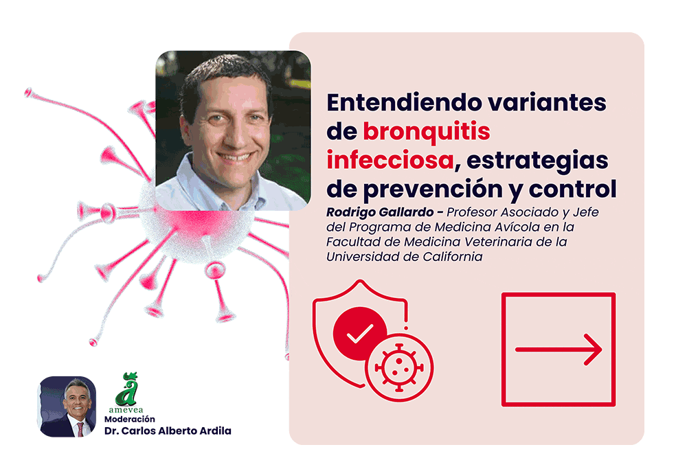 Consulta el programa de patología